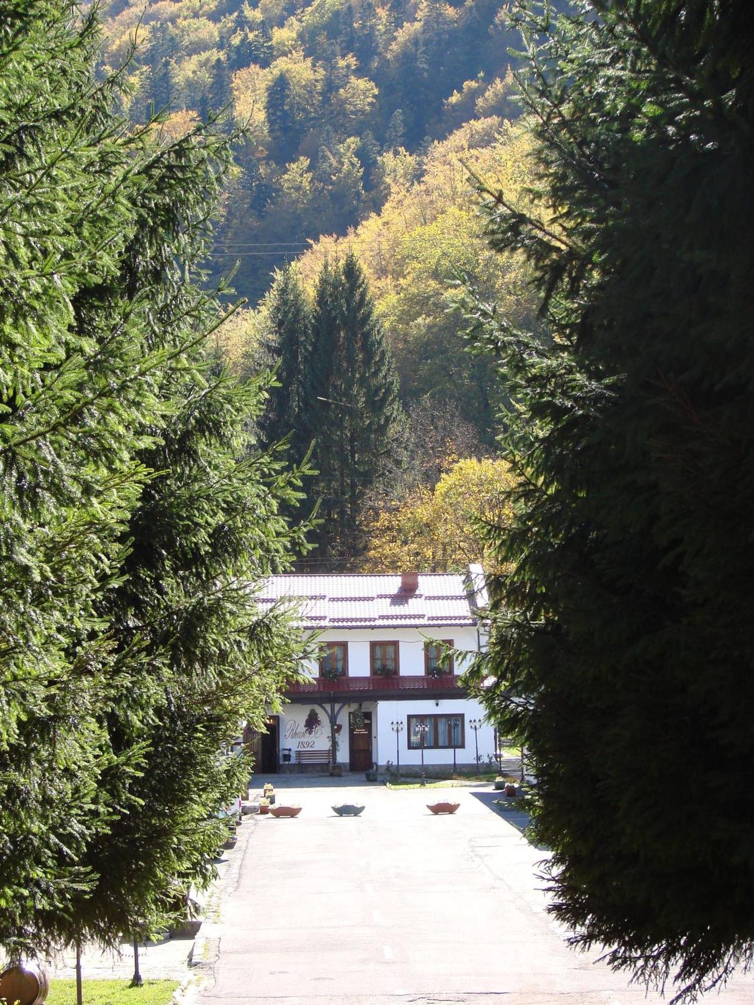 Pensiunea Rhein Azuga Exterior photo