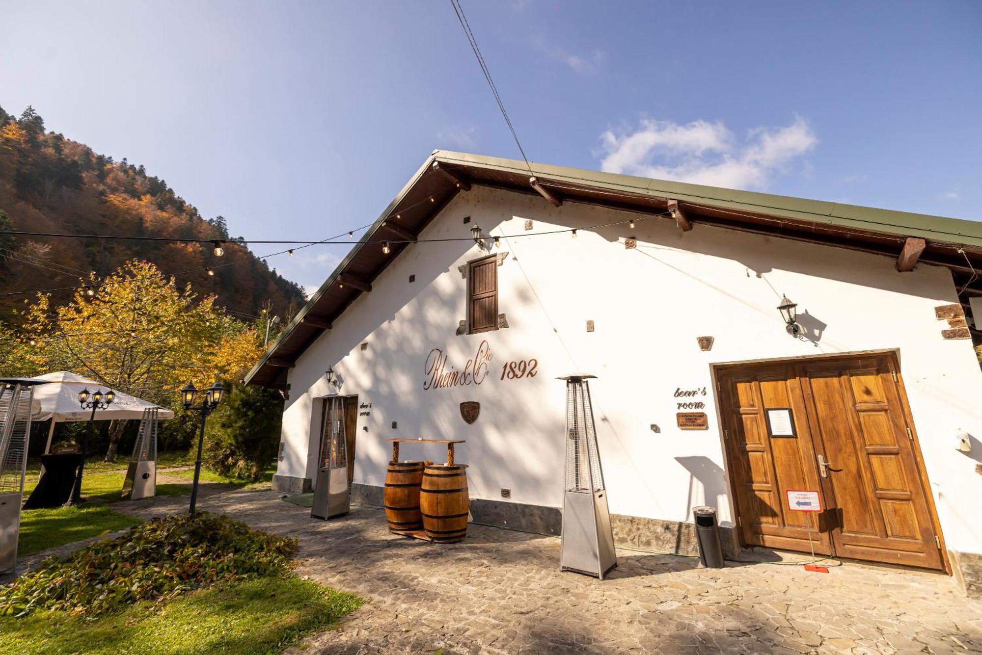 Pensiunea Rhein Azuga Exterior photo