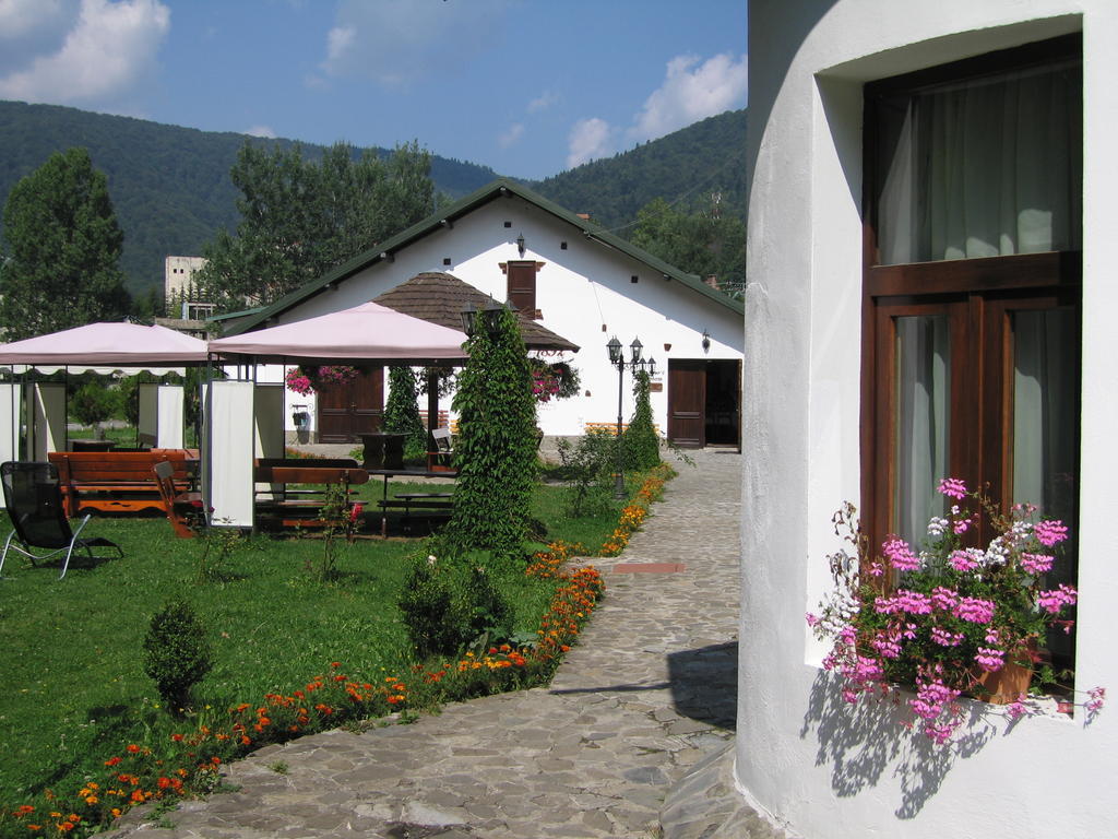 Pensiunea Rhein Azuga Exterior photo